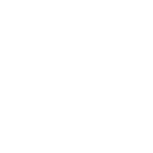 TripForge